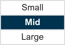 Market Capitalization: Mid